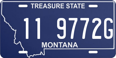 MT license plate 119772G