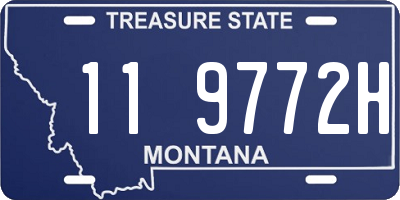 MT license plate 119772H