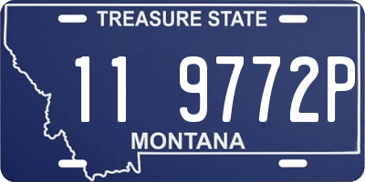 MT license plate 119772P