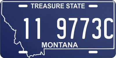 MT license plate 119773C