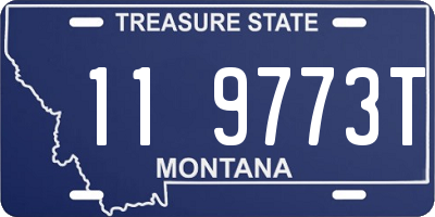 MT license plate 119773T