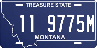 MT license plate 119775M