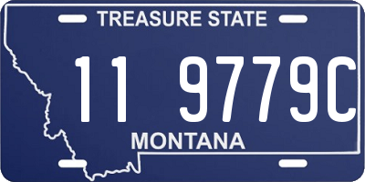 MT license plate 119779C