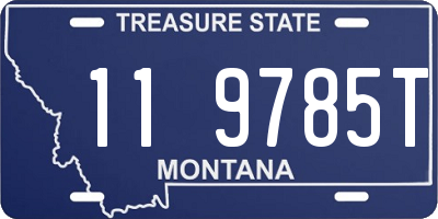 MT license plate 119785T