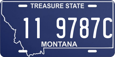 MT license plate 119787C