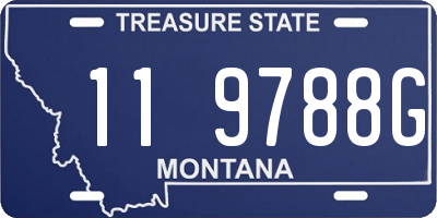 MT license plate 119788G