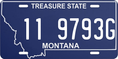 MT license plate 119793G