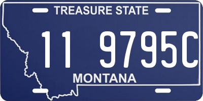 MT license plate 119795C