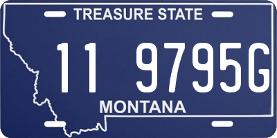 MT license plate 119795G