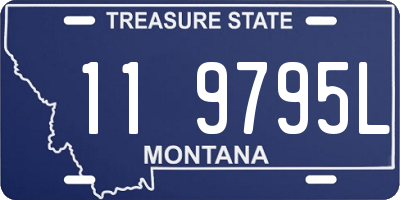 MT license plate 119795L