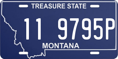 MT license plate 119795P