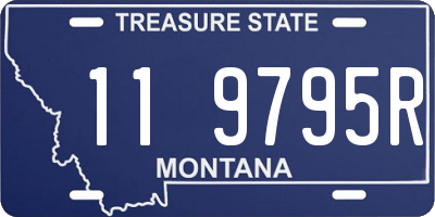 MT license plate 119795R