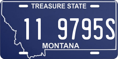 MT license plate 119795S