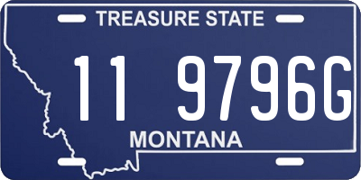 MT license plate 119796G