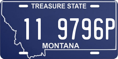 MT license plate 119796P