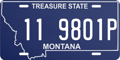 MT license plate 119801P