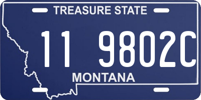 MT license plate 119802C