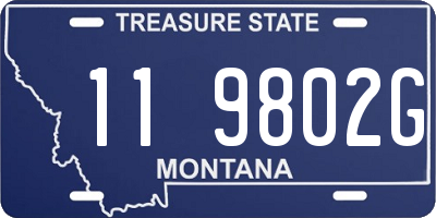 MT license plate 119802G