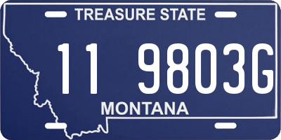 MT license plate 119803G