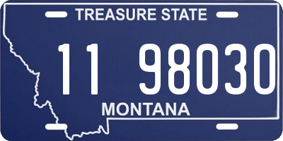 MT license plate 119803O
