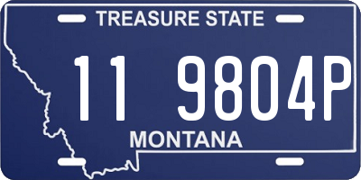 MT license plate 119804P