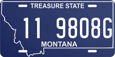 MT license plate 119808G
