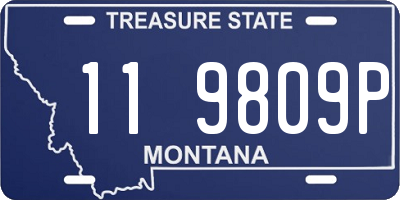 MT license plate 119809P