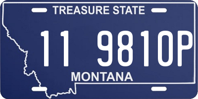 MT license plate 119810P