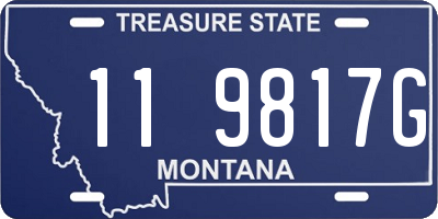 MT license plate 119817G