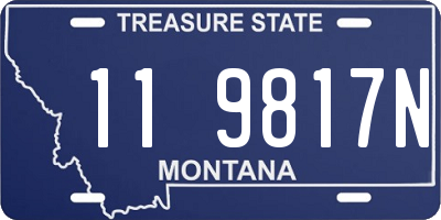 MT license plate 119817N