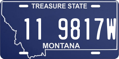 MT license plate 119817W