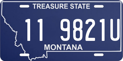 MT license plate 119821U