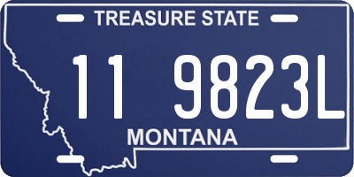 MT license plate 119823L