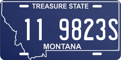MT license plate 119823S