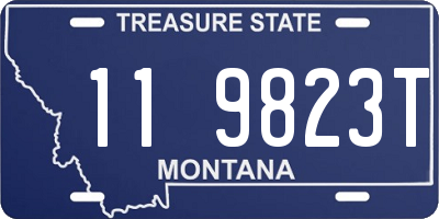 MT license plate 119823T