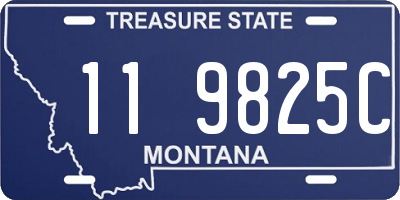 MT license plate 119825C