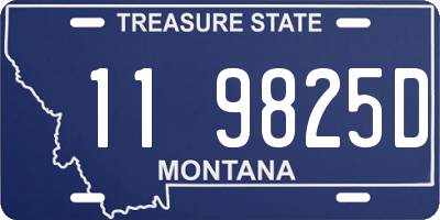 MT license plate 119825D