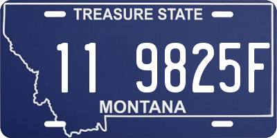 MT license plate 119825F