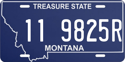 MT license plate 119825R
