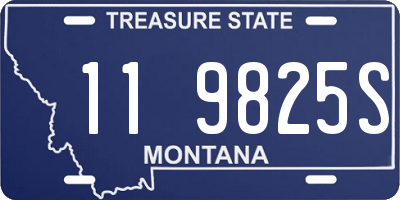 MT license plate 119825S