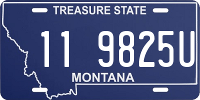 MT license plate 119825U