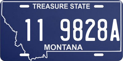 MT license plate 119828A