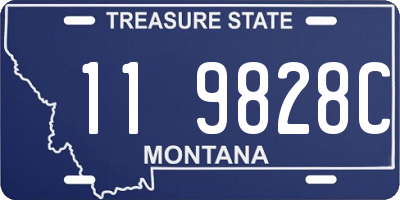MT license plate 119828C