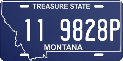 MT license plate 119828P