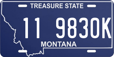 MT license plate 119830K