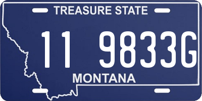 MT license plate 119833G