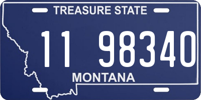MT license plate 119834O
