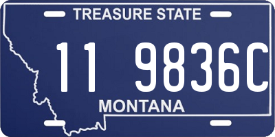 MT license plate 119836C