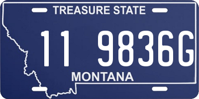 MT license plate 119836G