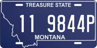 MT license plate 119844P